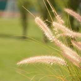 Proyectos Eidico Disponibles